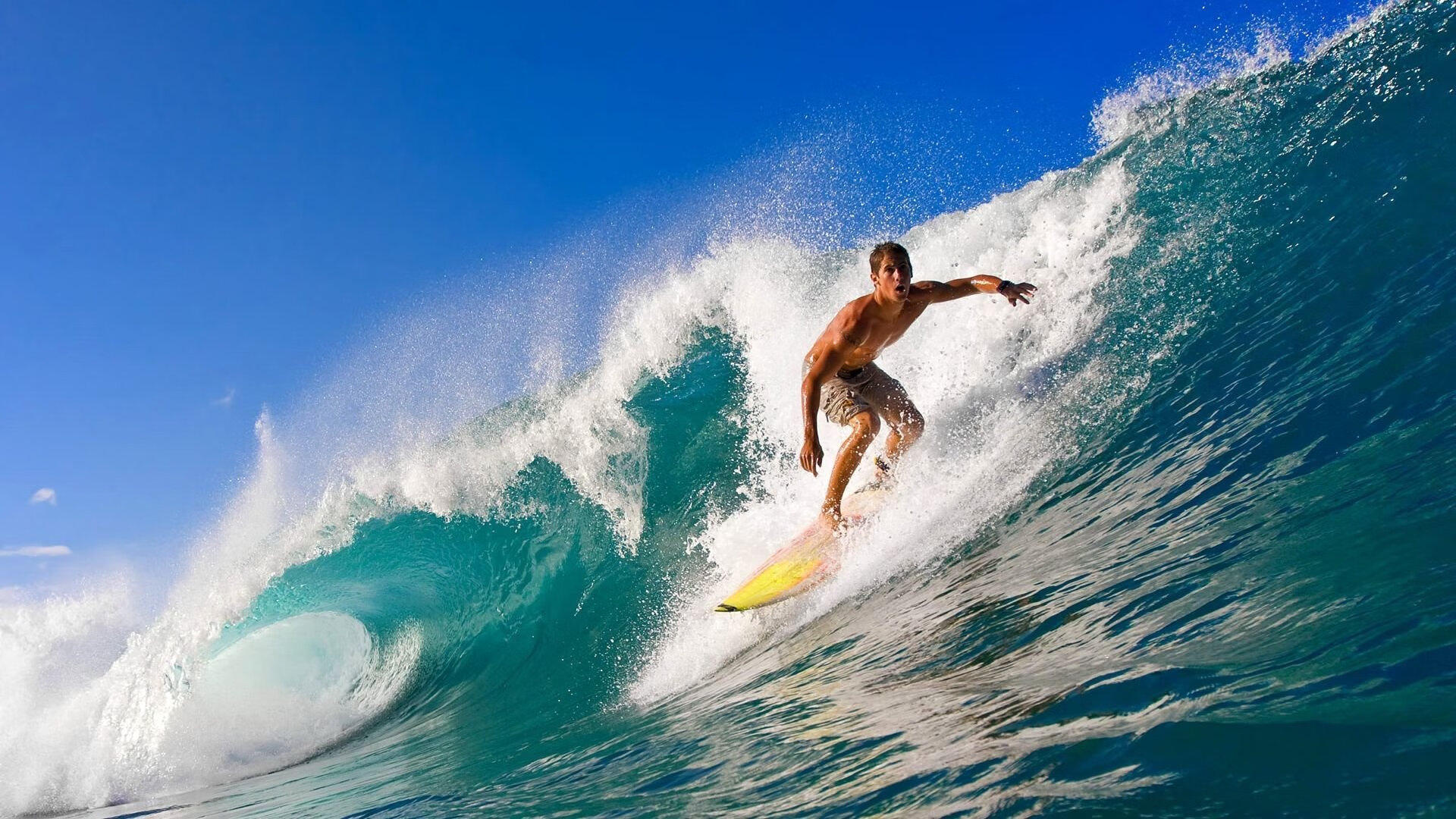 莱万多夫斯基意外战胜TL，夺冠引爆全场！热度持续攀升